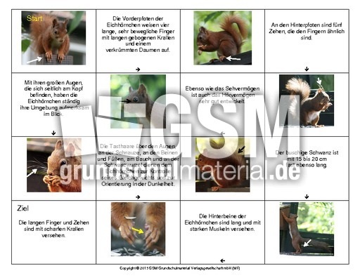 Eichhörnchen-Domino-2.pdf